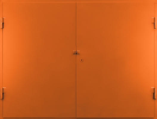 Распашные гаражные ворота RAL 2003