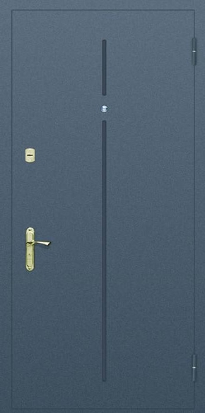 Глухая одностворчатая дверь с рисунком на металле № 1