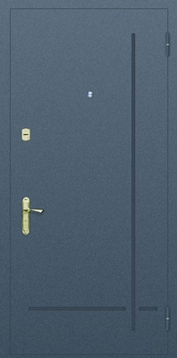 Глухая одностворчатая дверь с рисунком на металле № 3