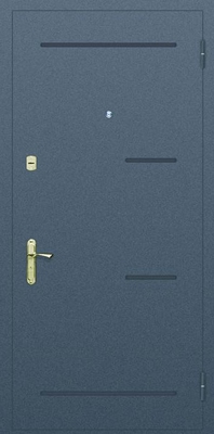Глухая одностворчатая дверь с рисунком на металле № 5