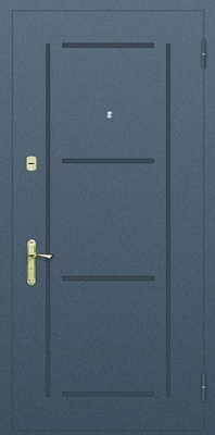 Глухая одностворчатая дверь с рисунком на металле № 7