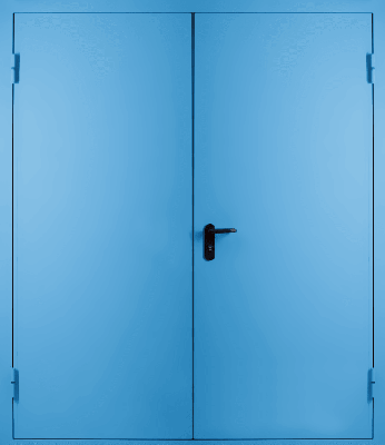Двупольная противопожарная дверь EI 60 (RAL 5012)