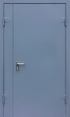 Полуторапольная противопожарная дверь с порошковым напылением (синяя)