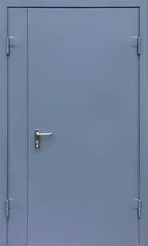 Полуторапольная противопожарная дверь с порошковым напылением (синяя)