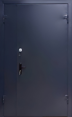 Полуторная глухая техническая дверь (синяя)