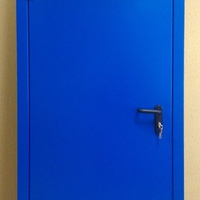 Синяя однопольная дверь